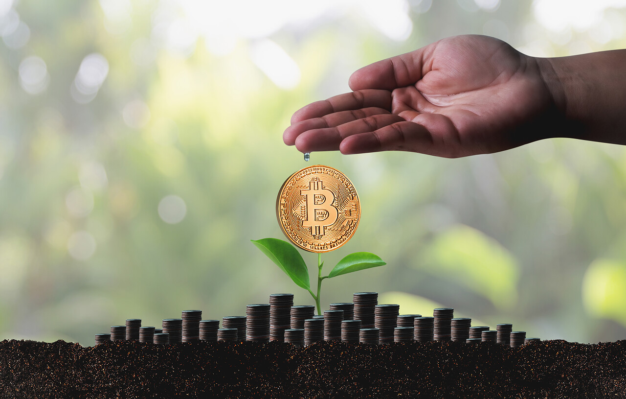 金融黄金比特币收入提升