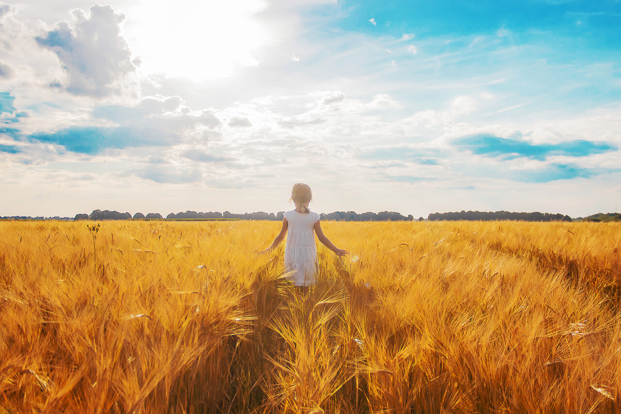 麦田里的孩子希望的田野二十四节气24节气芒种