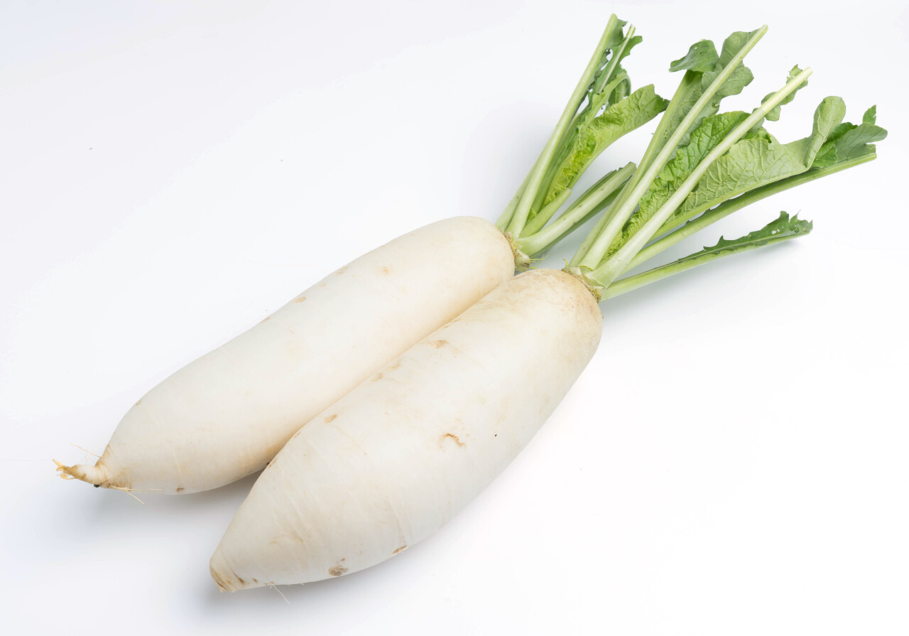 白色背景上隔离的Daikon萝卜