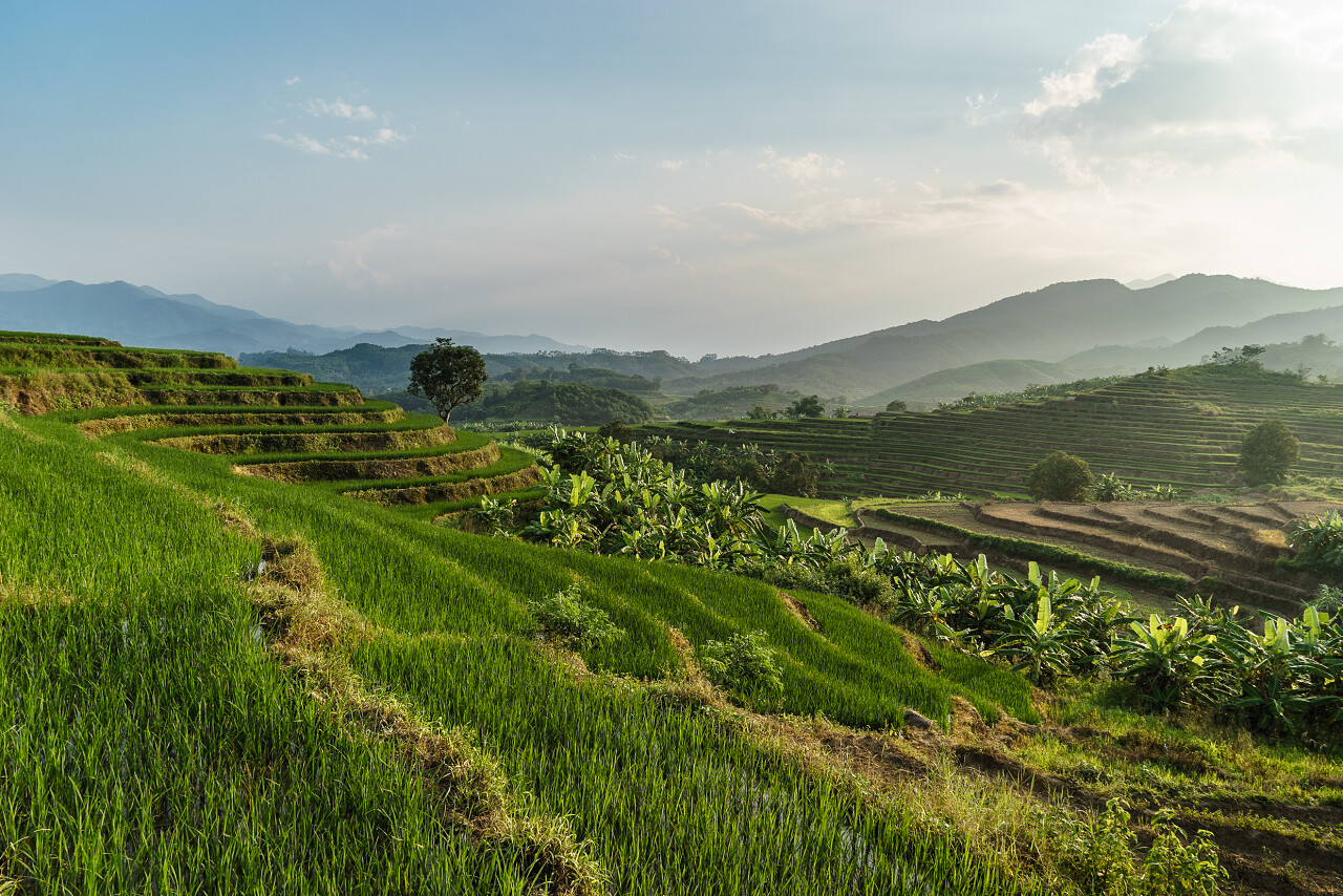 稻田露台海南旅游