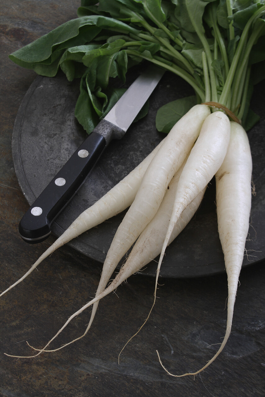 新鲜的白色萝卜