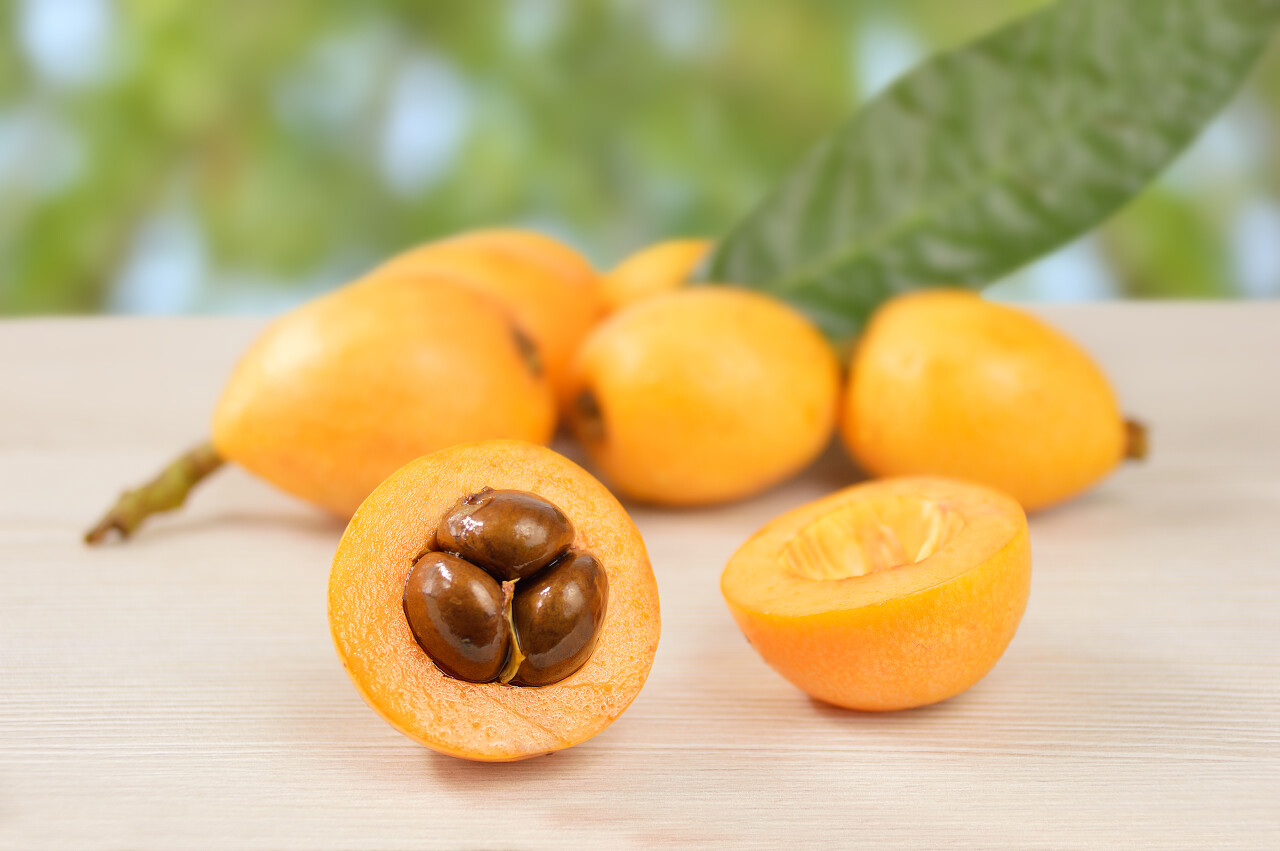 绿色背景上孤立的枇杷果实