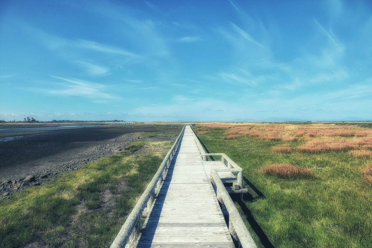 日本北海道钏路沼泽钏路城市人行道日本旅游北海道旅游湿地沼泽湿地日