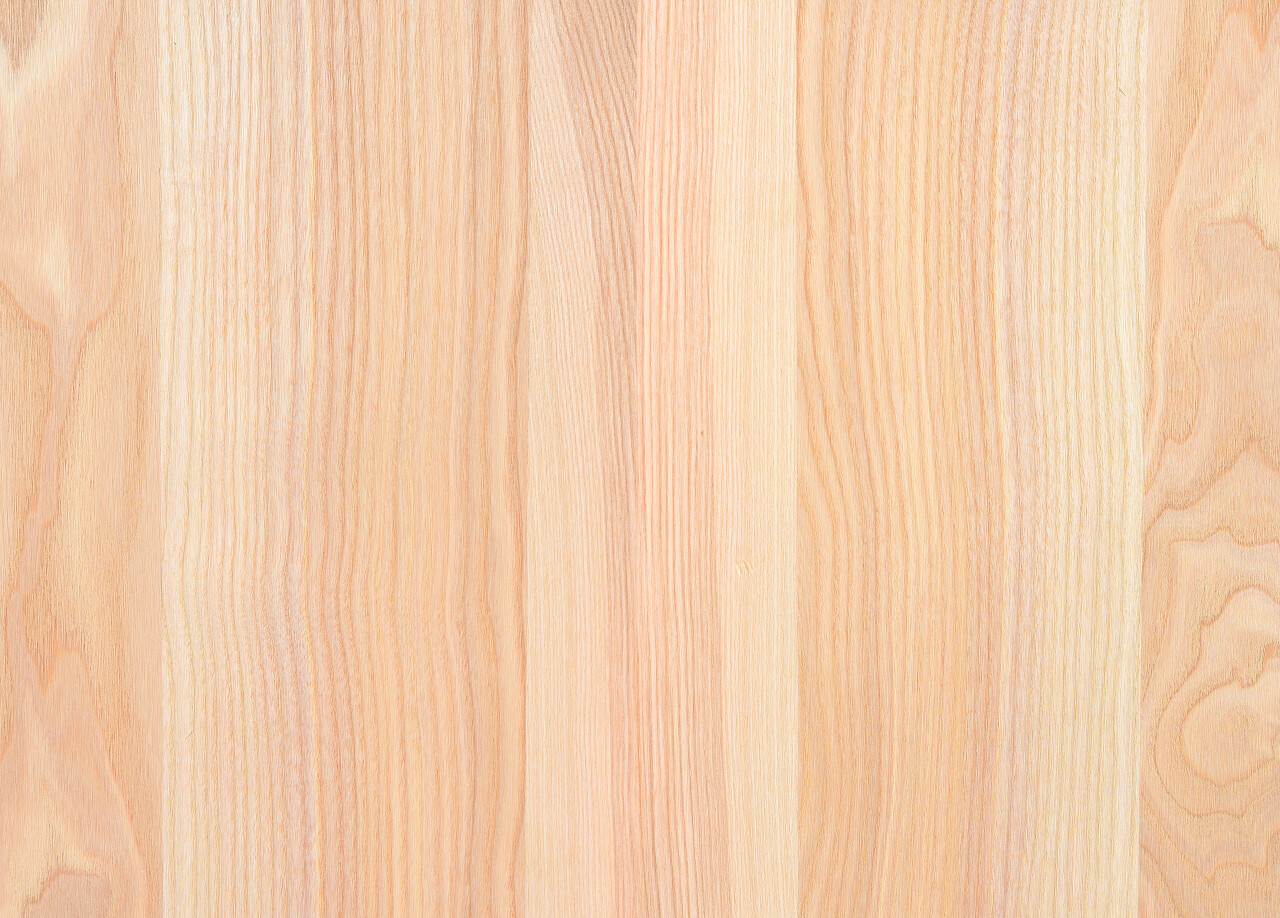 木板硬木的碎片