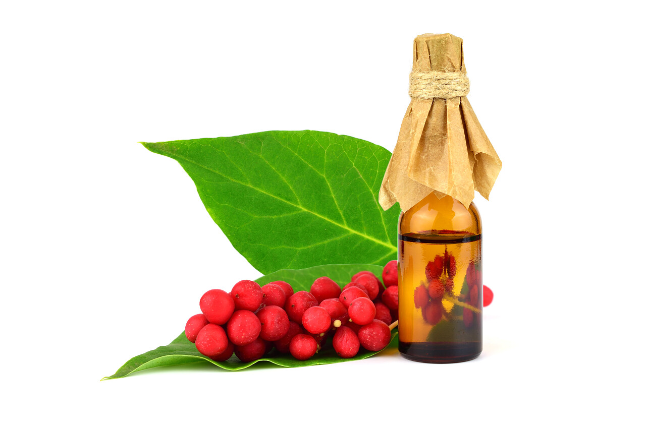 五味子药用草本植物和药用瓶中的精油