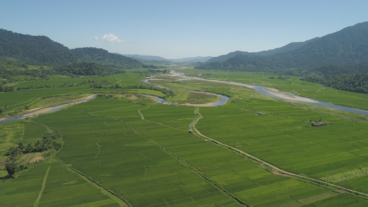 山谷与农田稻田希望的田野