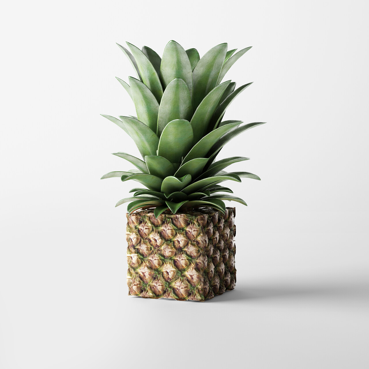 立方体形状的菠萝