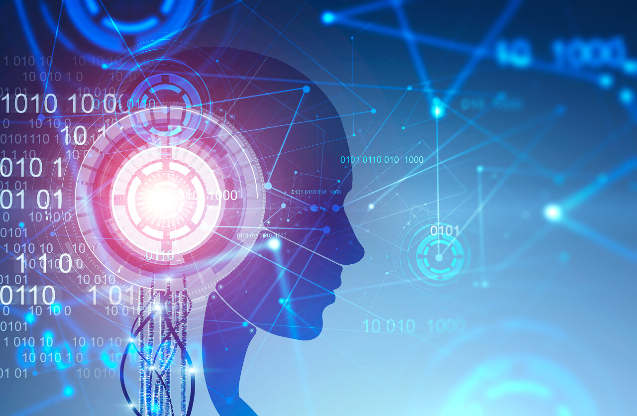 机器人头部与网络信息