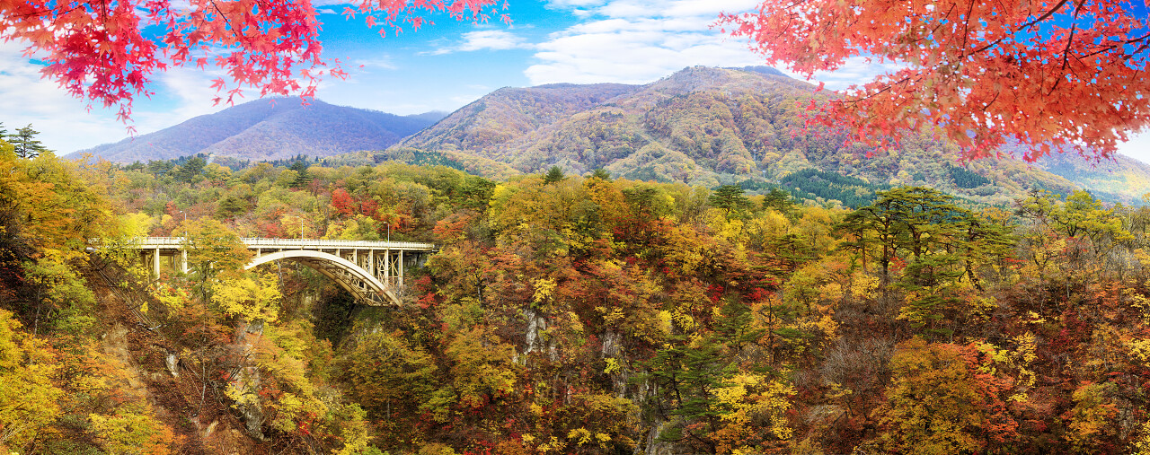 美丽的秋天风景日本旅游