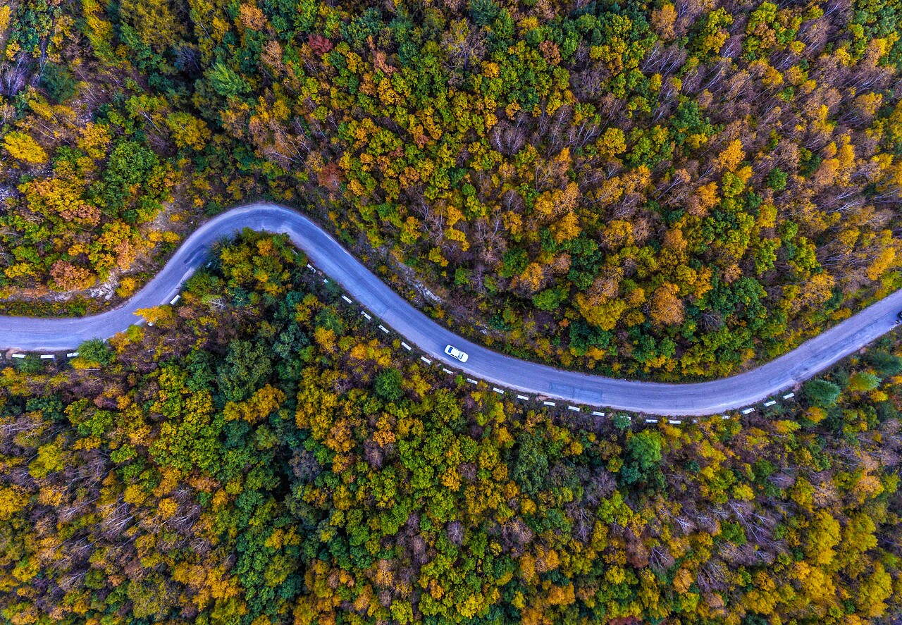 汽车行驶在森林的公路上312植树节