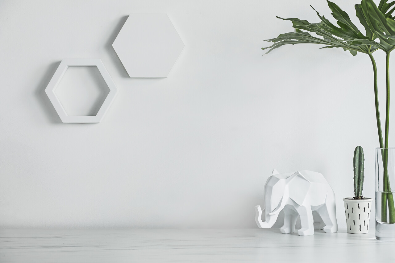 白色陶瓷图与绿色植物在白色背景