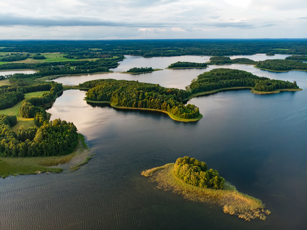 立陶宛莫莱泰湖泊夏季夜景.湿地沼泽湿地日