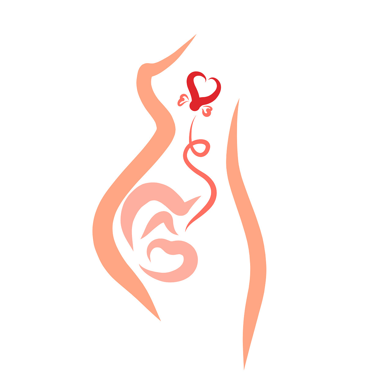 子宫内的婴儿和母心