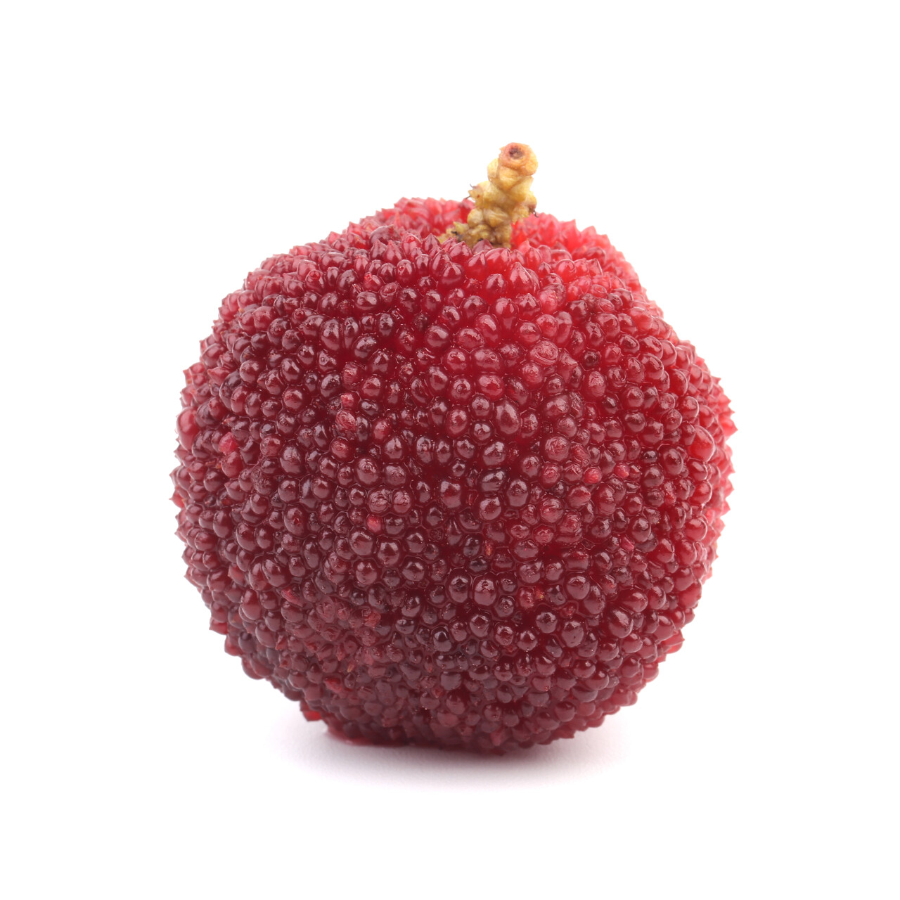 白色背景新鲜杨梅特写