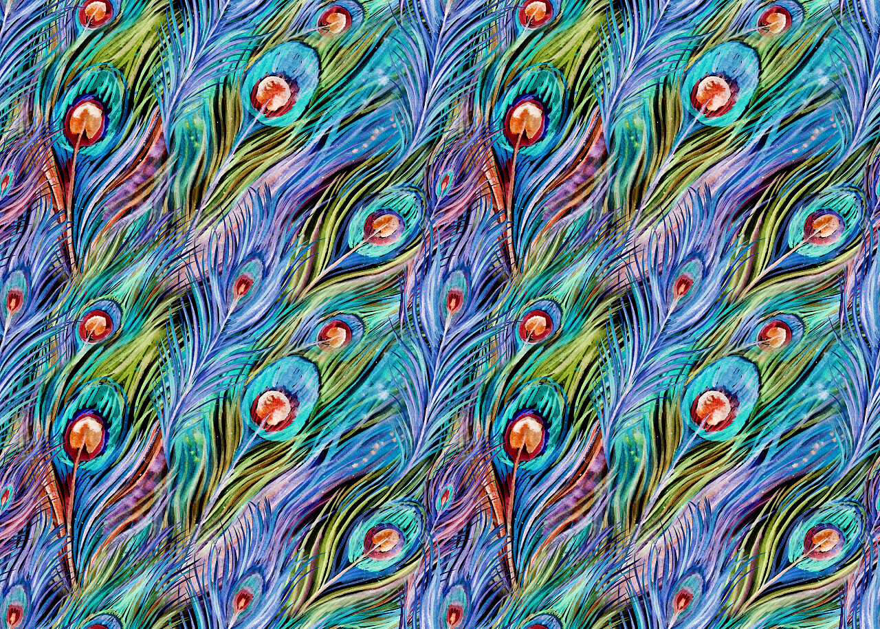 明亮的多彩孔雀羽毛