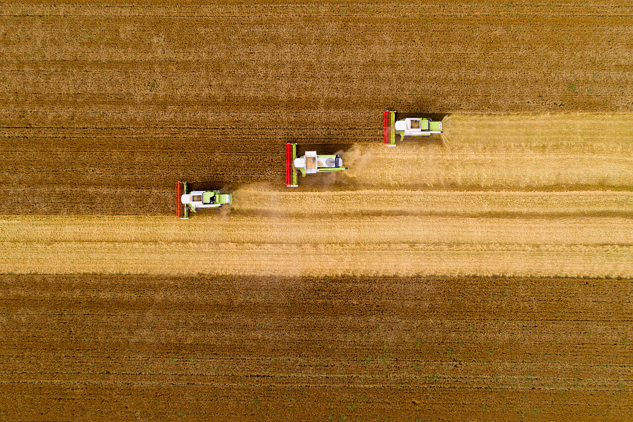 夏季小麦收获期间在田间作业的一组联合收割机的顶视图希望的田野