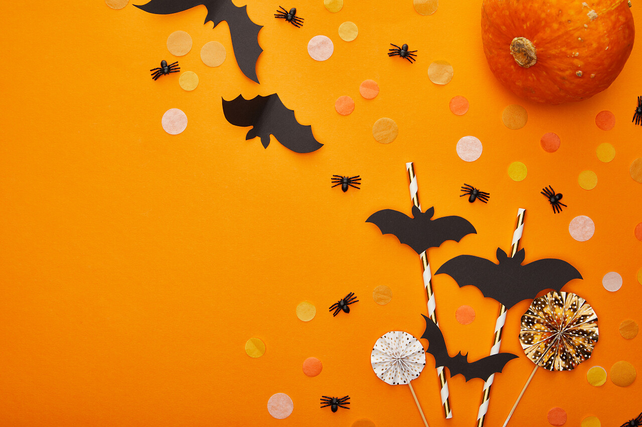 南瓜蝙蝠和蜘蛛背景为橙色的万圣节装饰