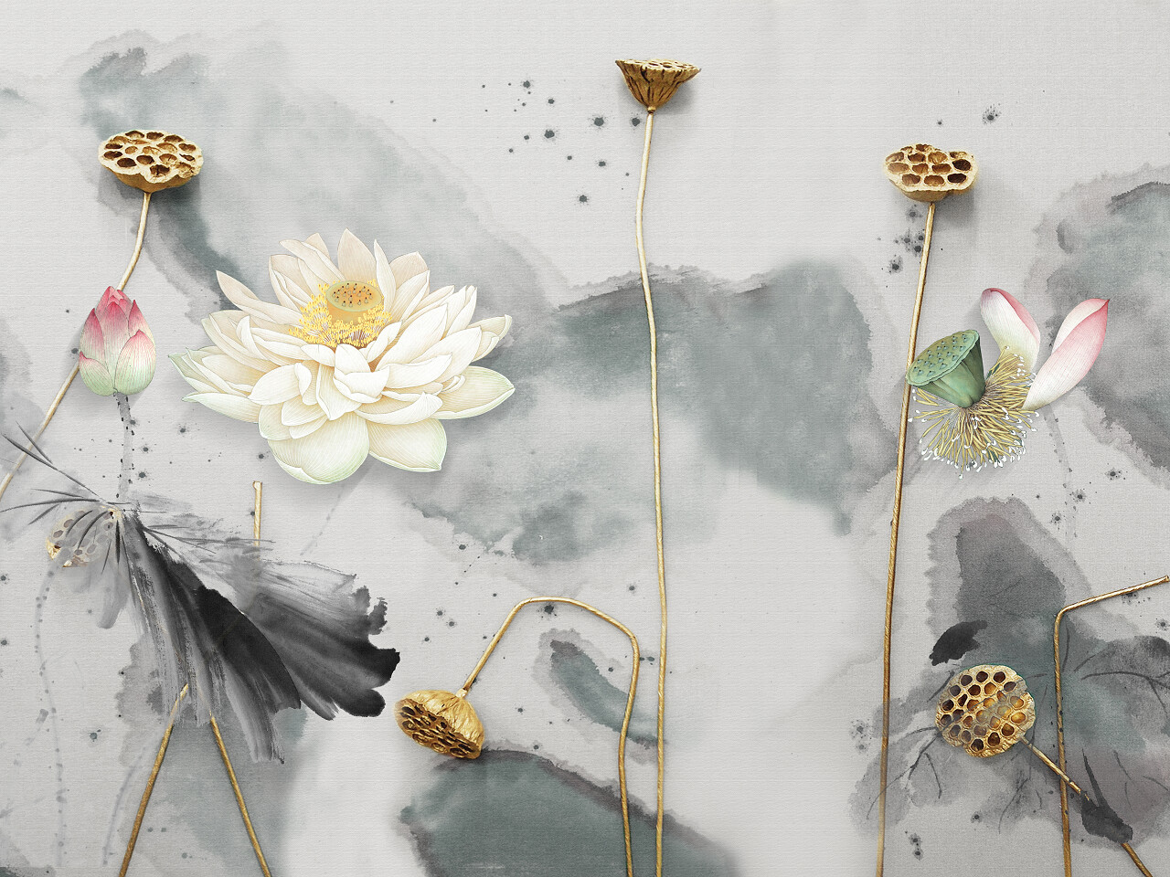 白色和粉红色睡莲二十四节气24节气立夏夏至小暑大暑