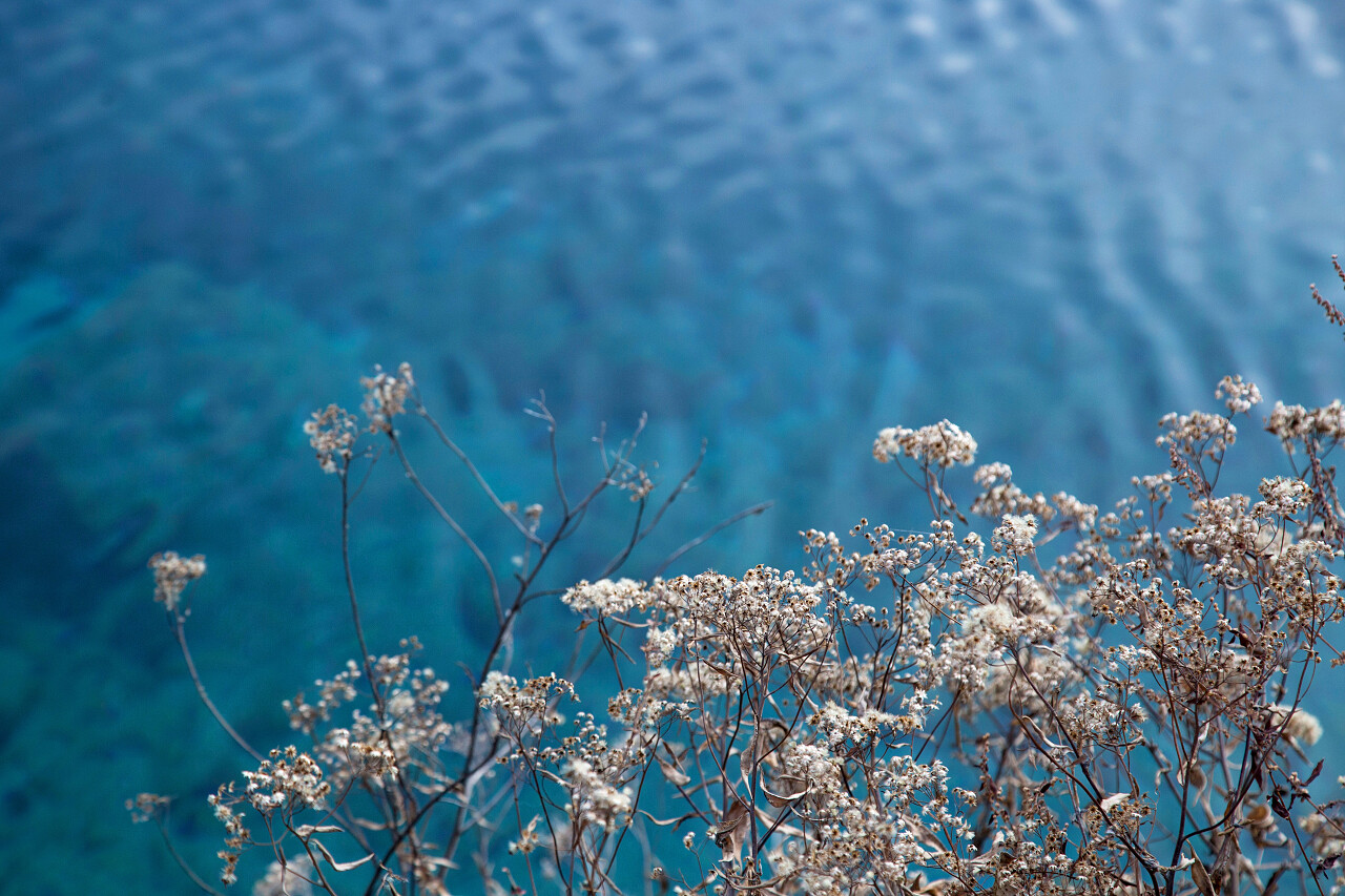 四川九寨沟美景九寨沟旅游