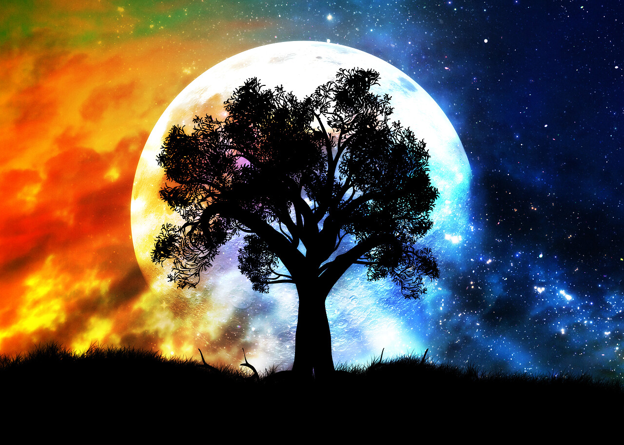 星空和孤独的树背景