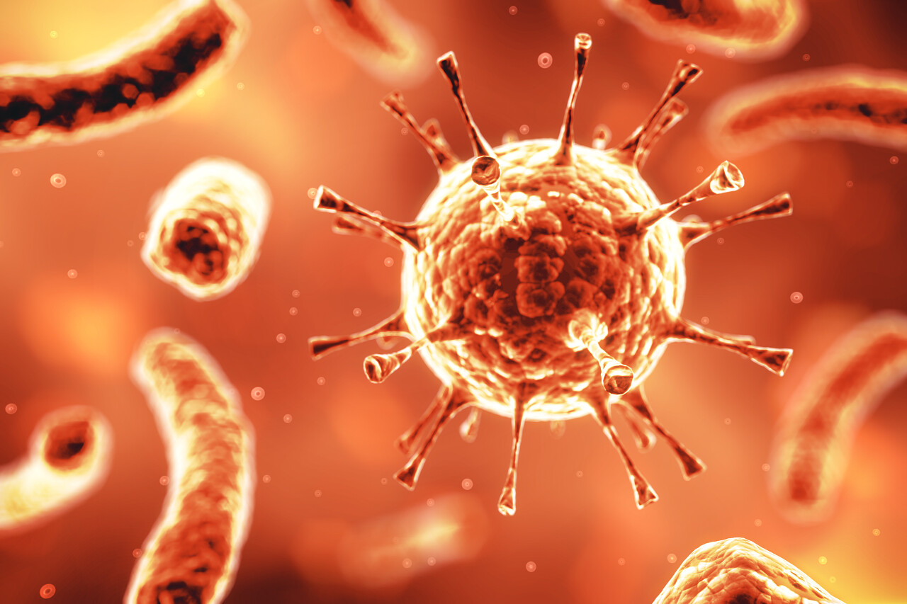 橙色背景上的病毒或细菌细胞