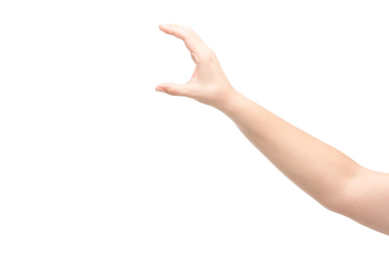 在白色上被隔离的女性保持姿势的剪影