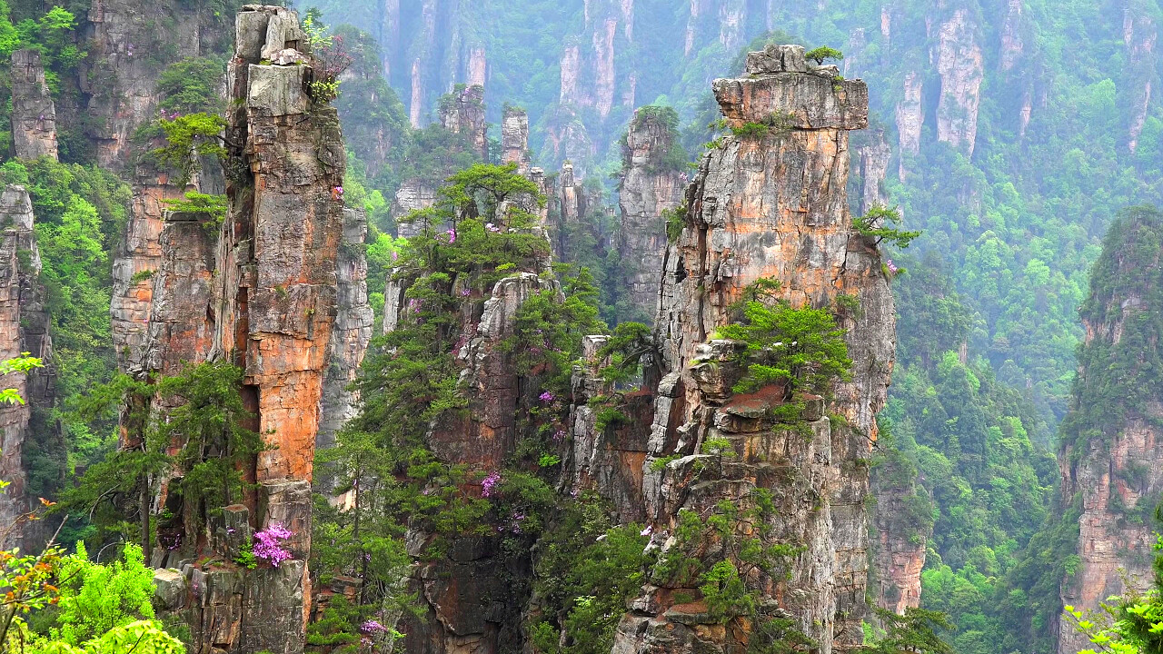 中国湖南省武陵源张家界悬崖山张家界旅游湖南旅游