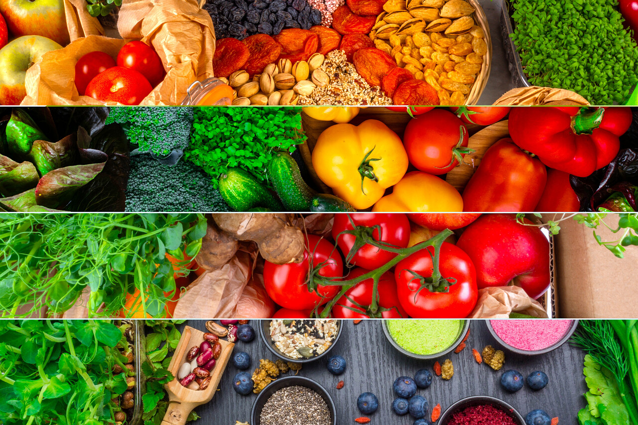 选择健康食品以促进均衡而灵活的饮食和排毒