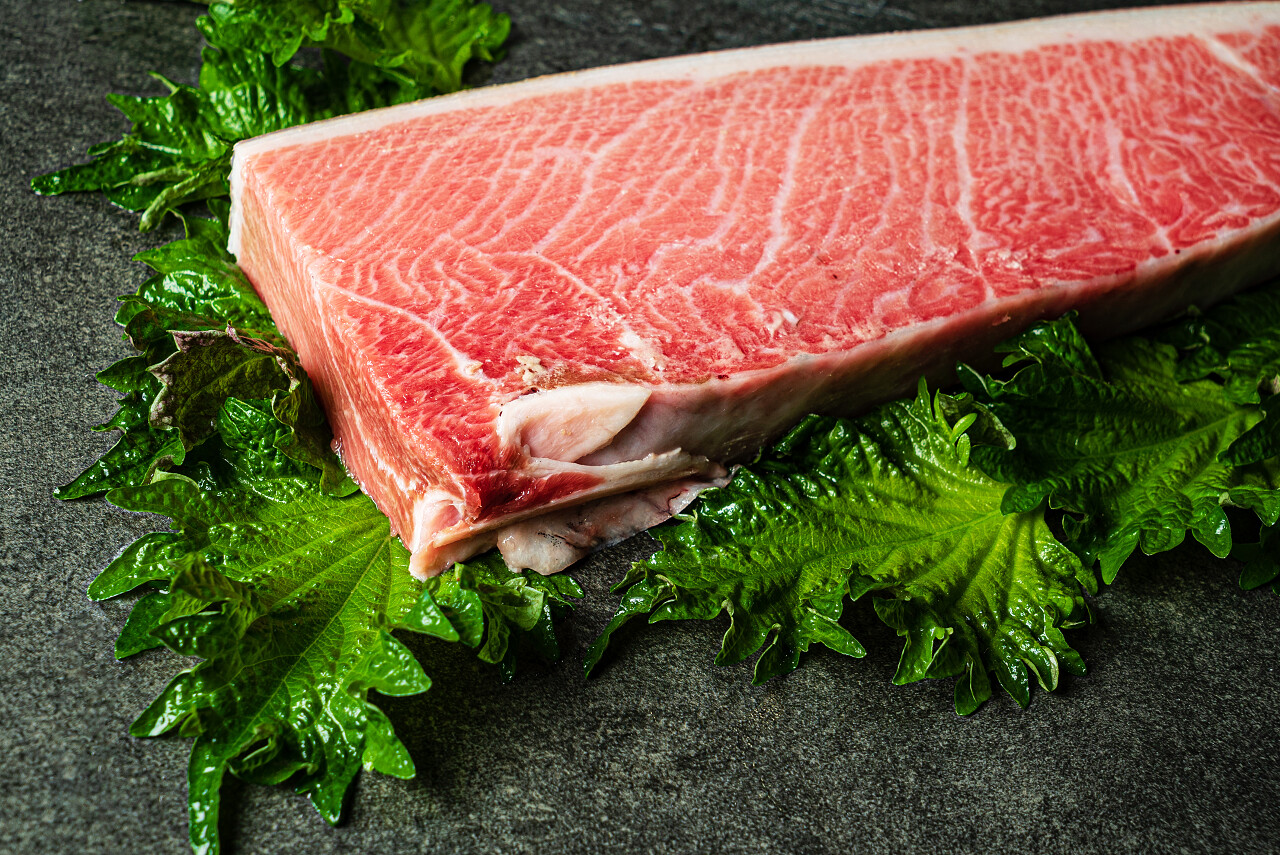 蓝鳍金枪鱼燕麦卷美味