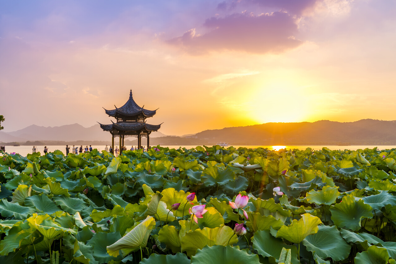 荷花荷叶夏荷西湖古亭中的荷花和夕阳云二十四节气24节气立夏