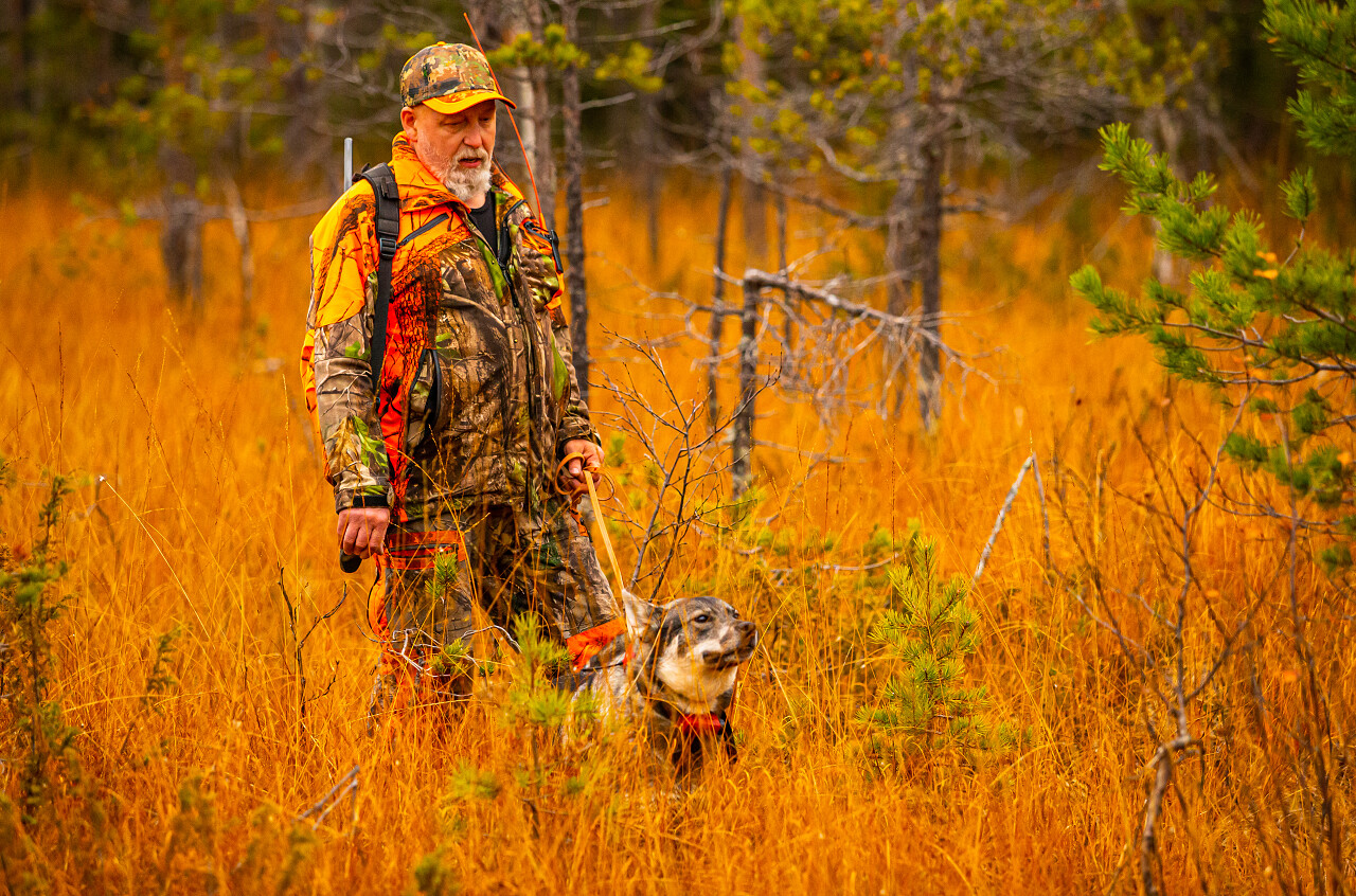 猎人和他的猎狗在野外猎人