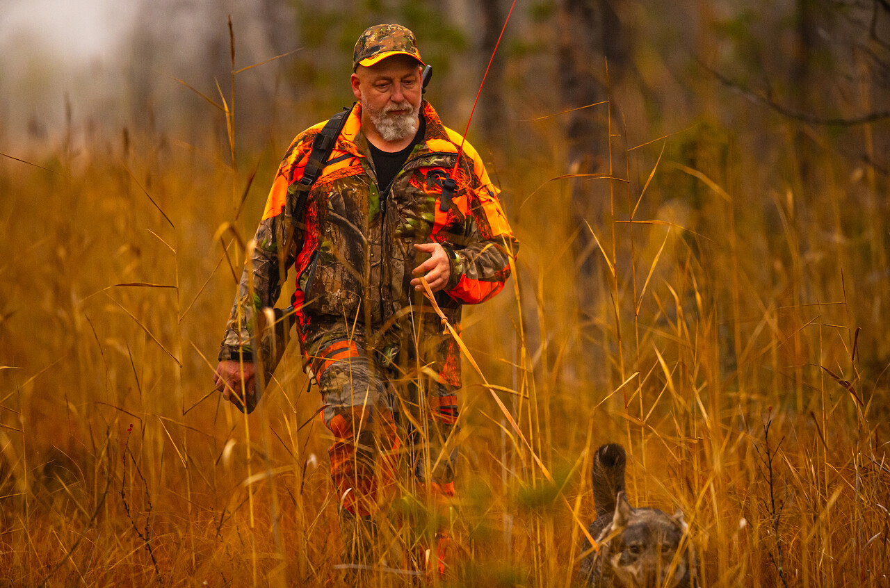 猎人和他的猎狗在野外猎人