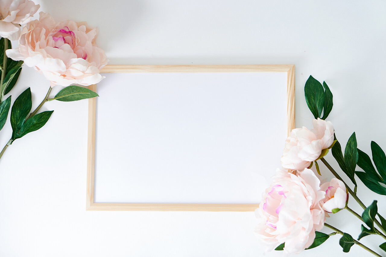 家居装饰室内装帧和植物