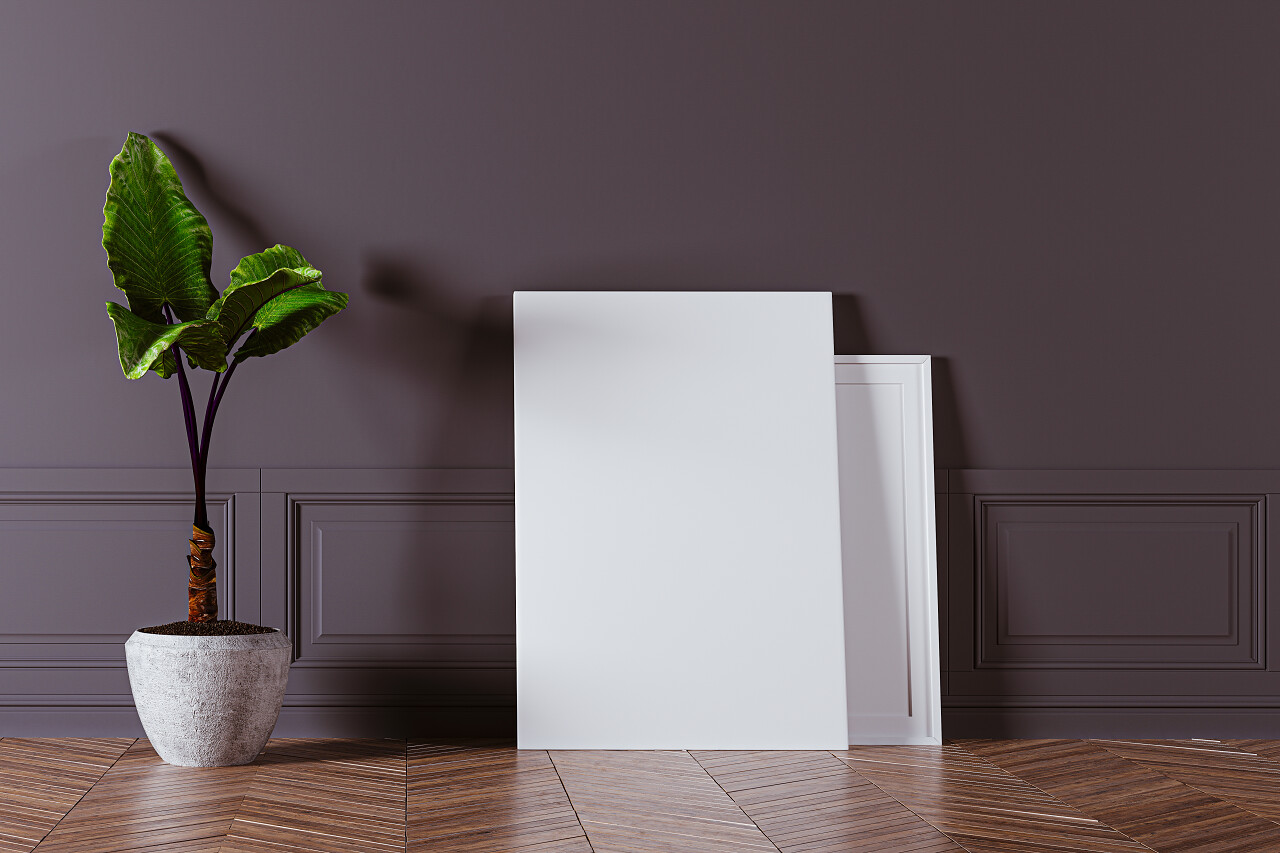 家用植物和墙壁上的空白框架