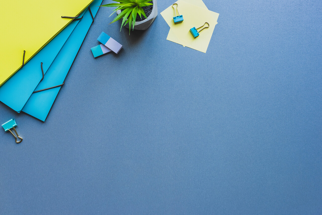 纸文件夹带粘合剂夹的橡皮和蓝色背景的植物的顶部视图