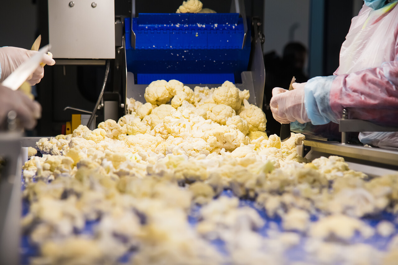 流水线上的花菜