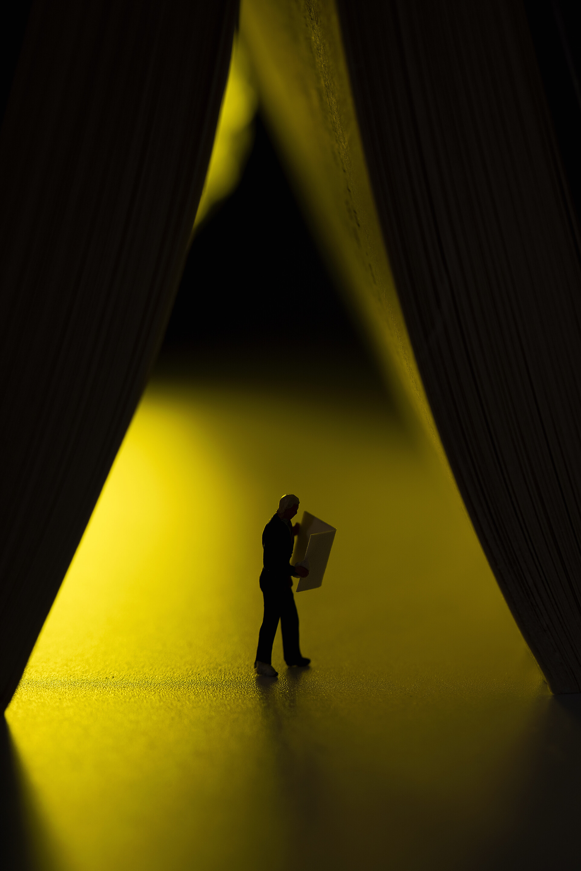 世界读书日学习读书逆光创意读书日海报