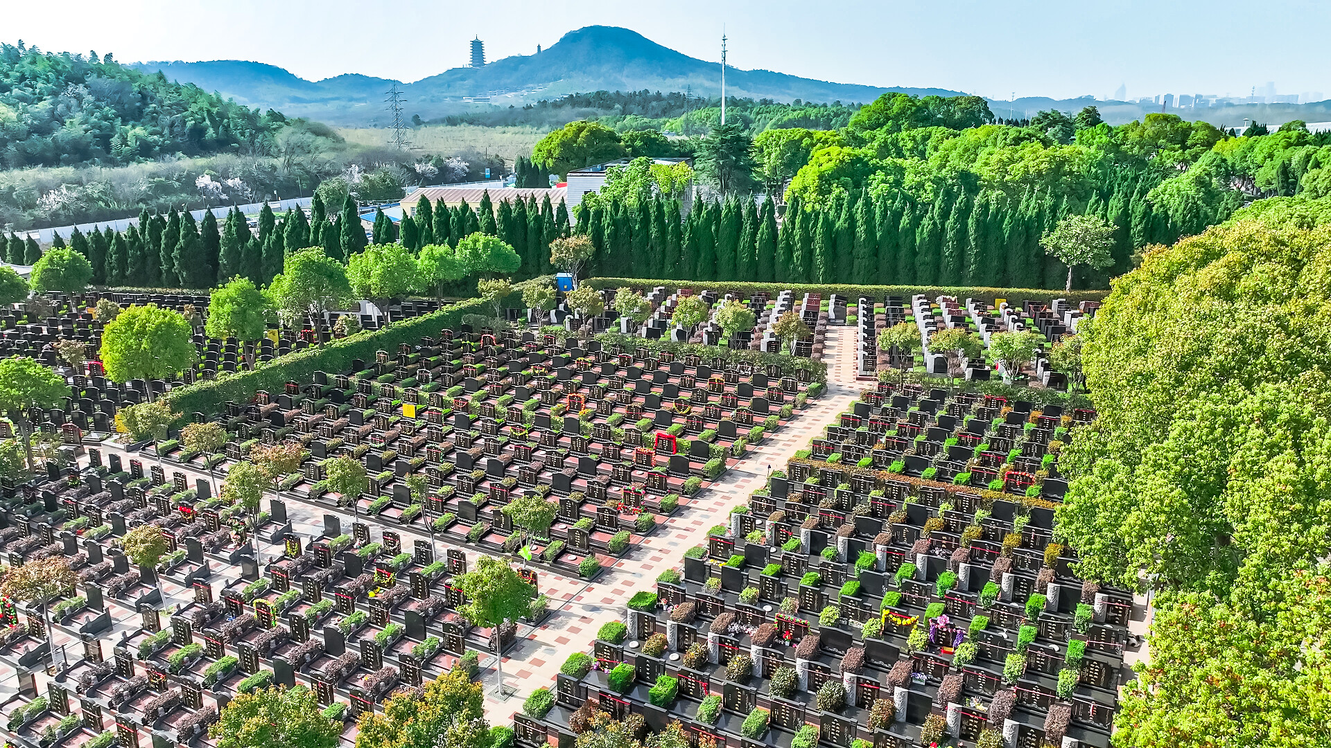 清明节祭拜公墓扫墓