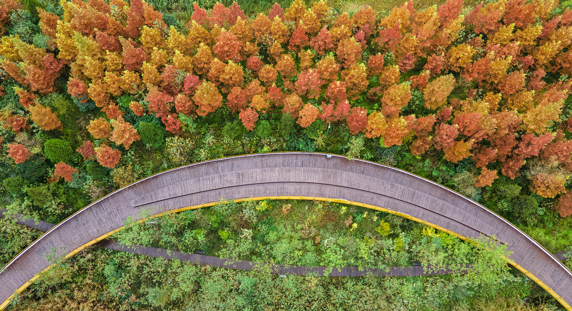 公园平分秋色秋天金黄夏天绿色