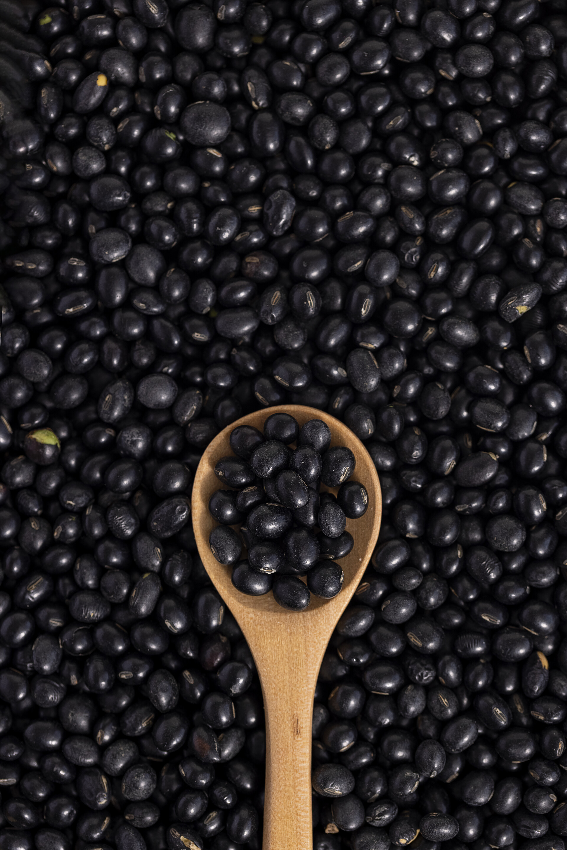 勺子里的黑豆黑豆背景