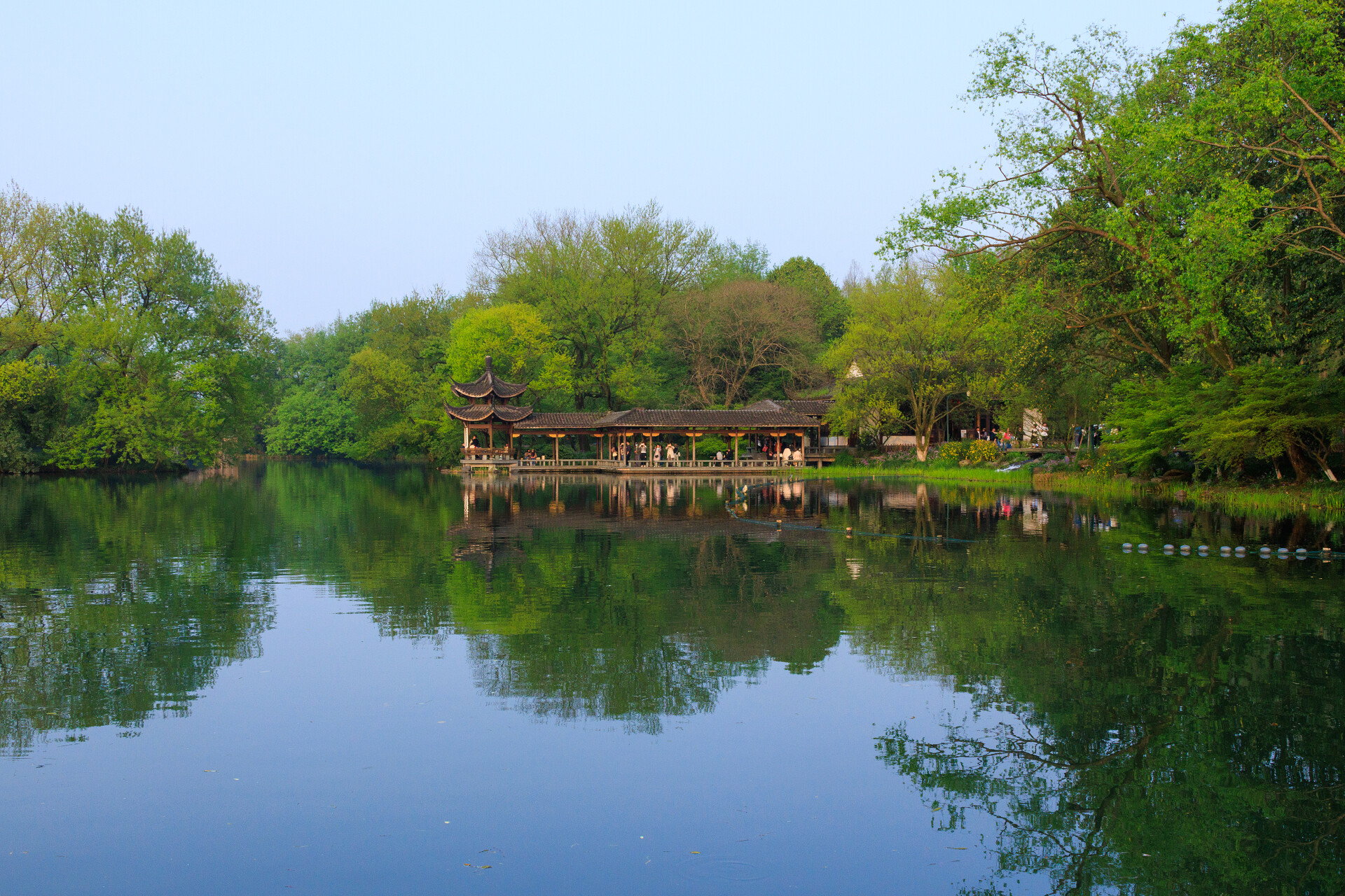 春游景色西湖湖水