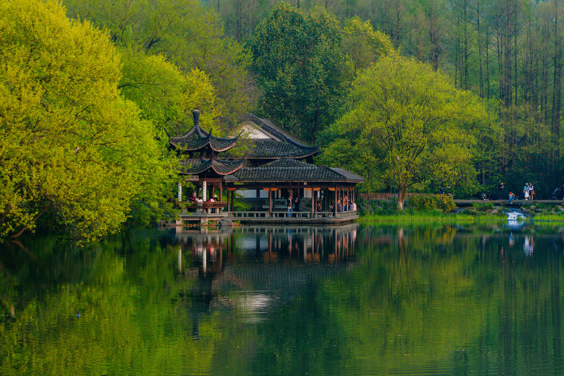 春天西湖湖边景色