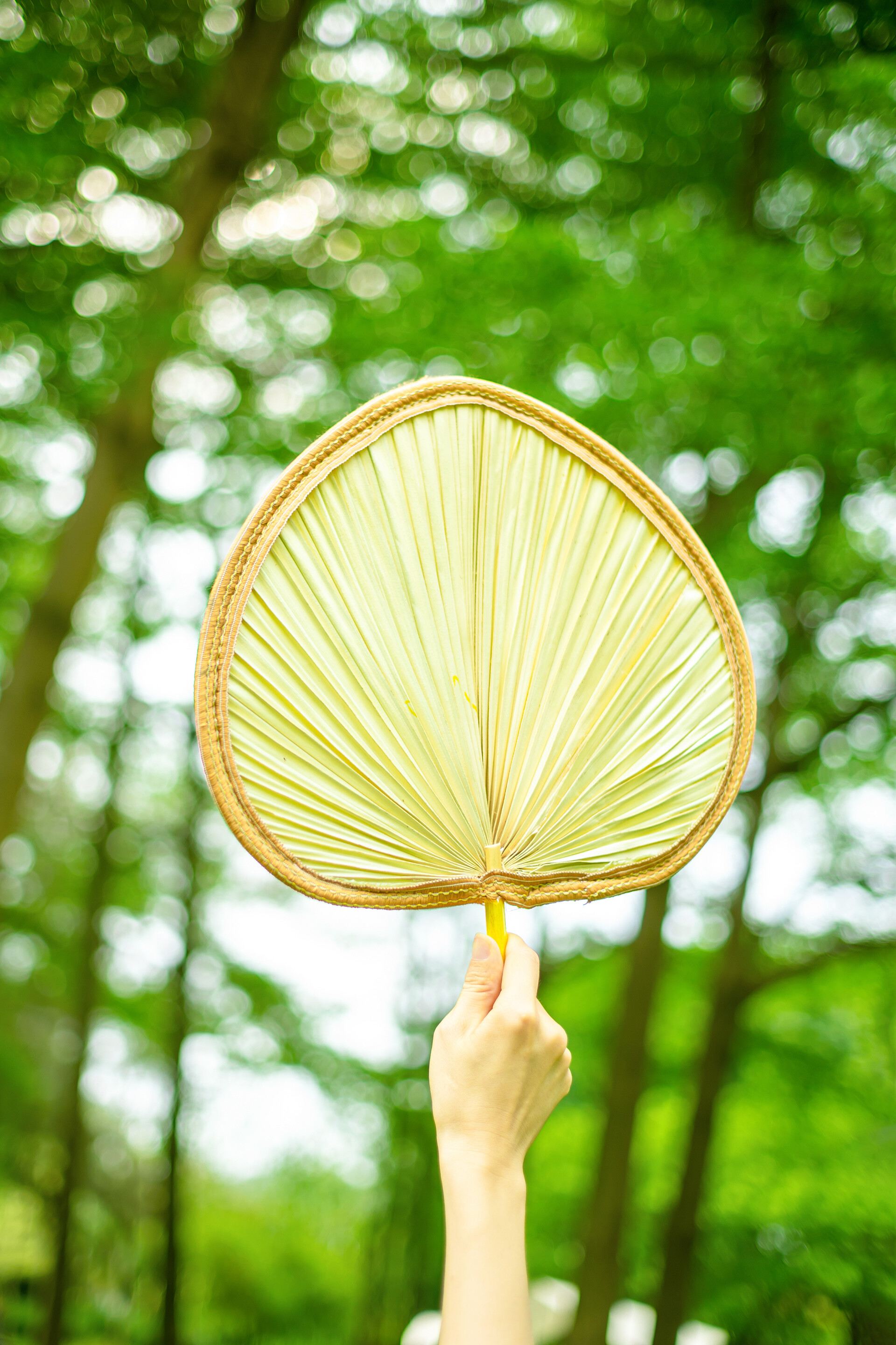 夏天乘凉的蒲扇夏至