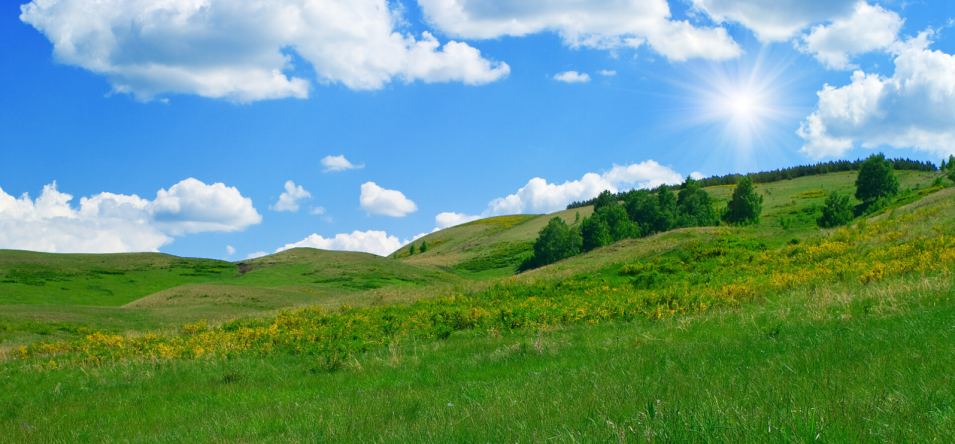 蓝天白云下的绿色小山丘山上的树木