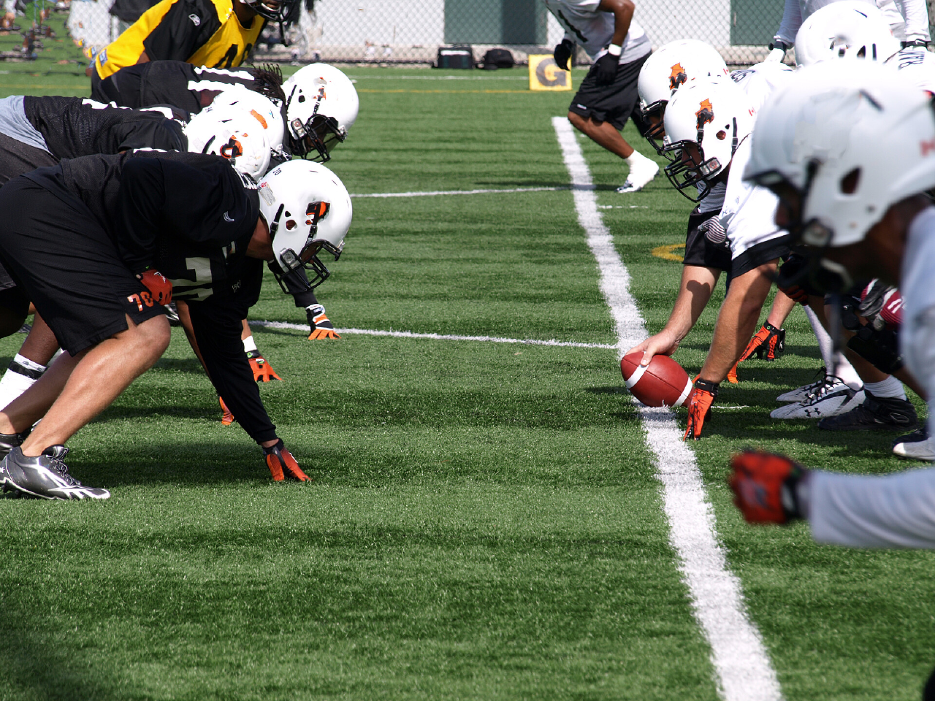 足球场上两只队伍在进行橄榄球比赛公元前狮子橄榄球队