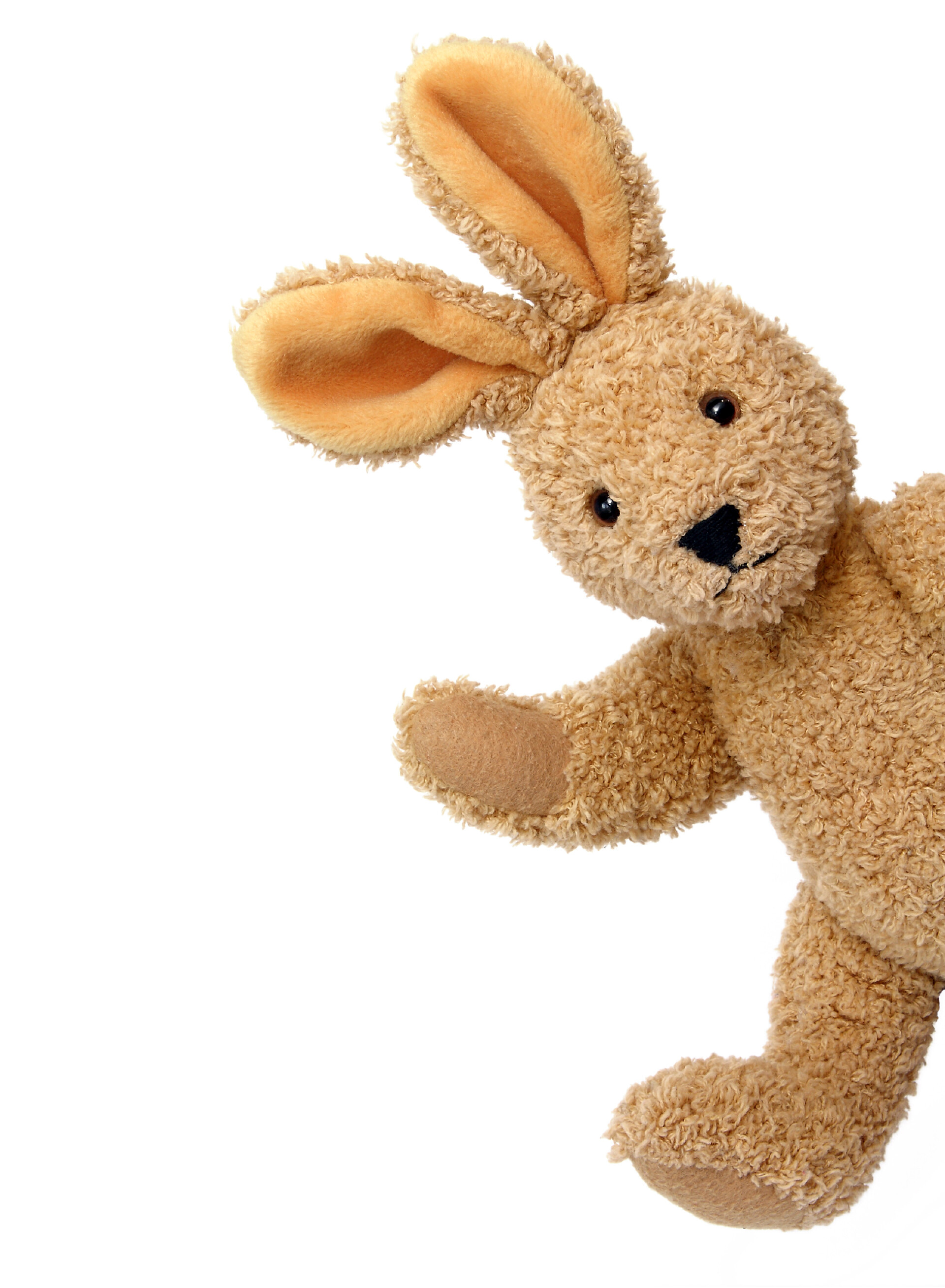 白背景上的小兔子布偶兔玩具