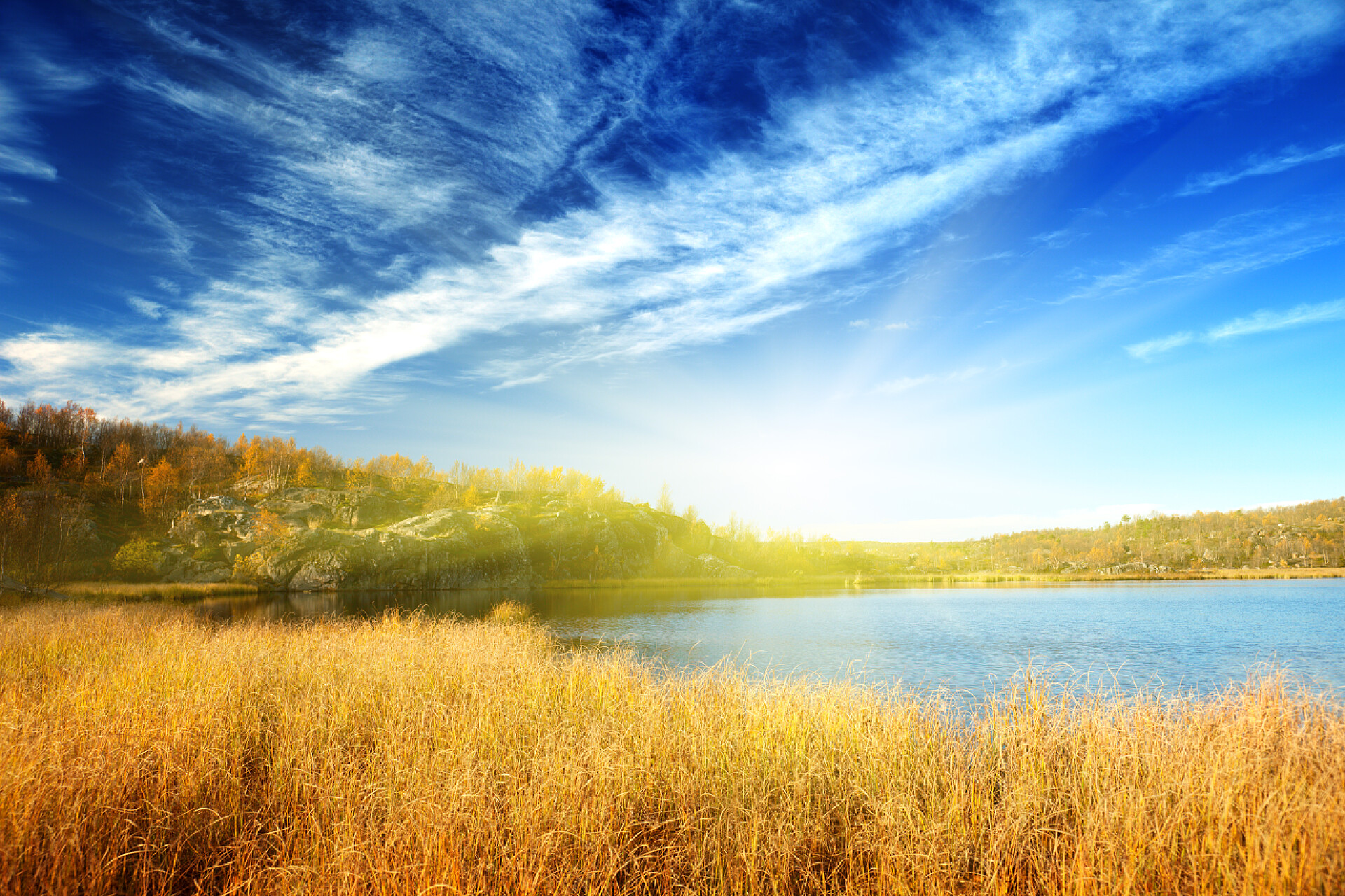 深秋黄色的芦苇丛和平静的湖面深秋的湖水中北部山