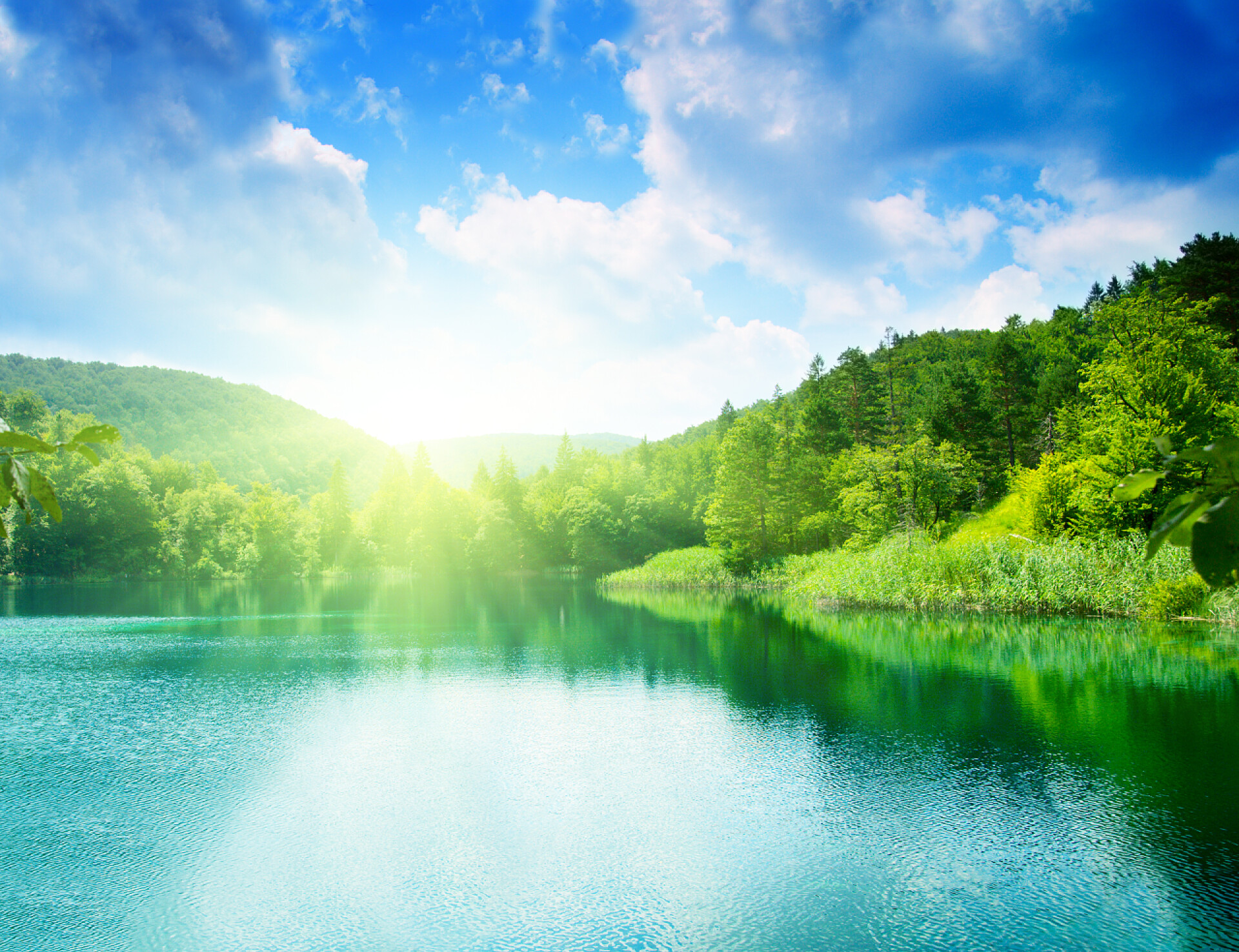 在森林中的绿水湖在森林中的绿水湖