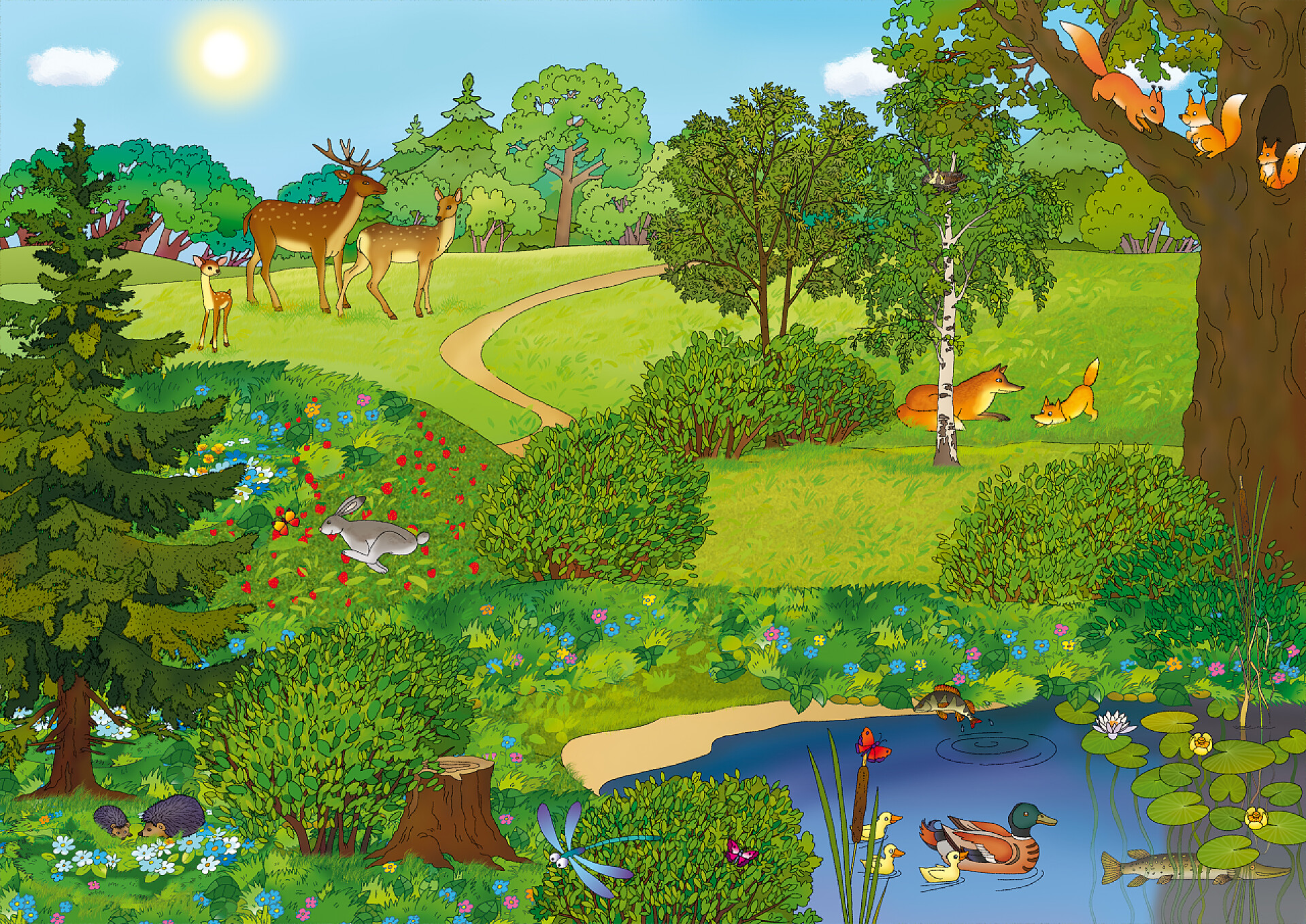 动物园里的风景插画夏天