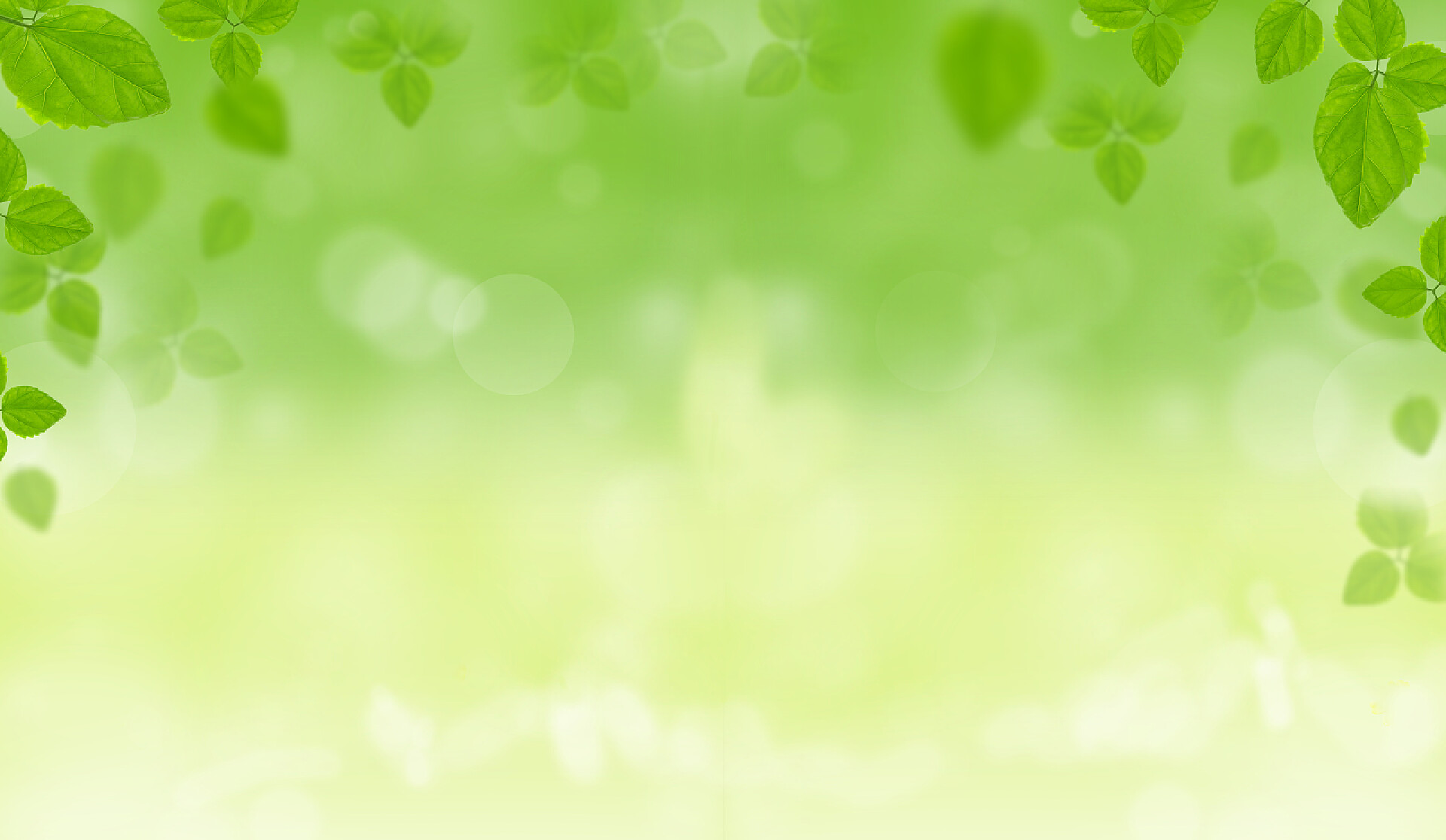 初春的自然背景春天背景